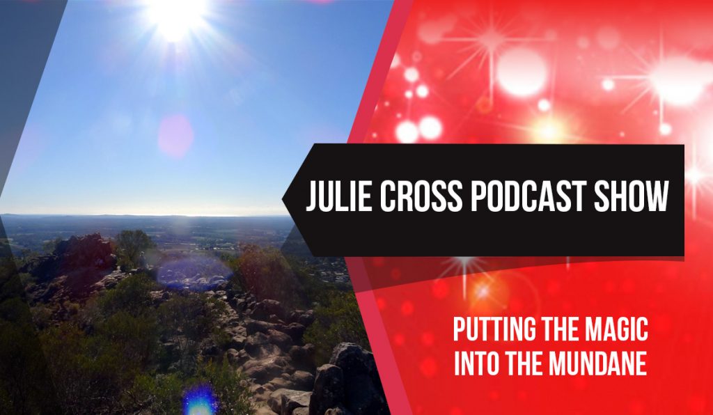 princess cruises julie cross podcast